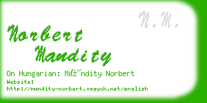 norbert mandity business card